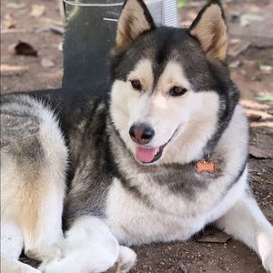 Meet your Posher, Vince